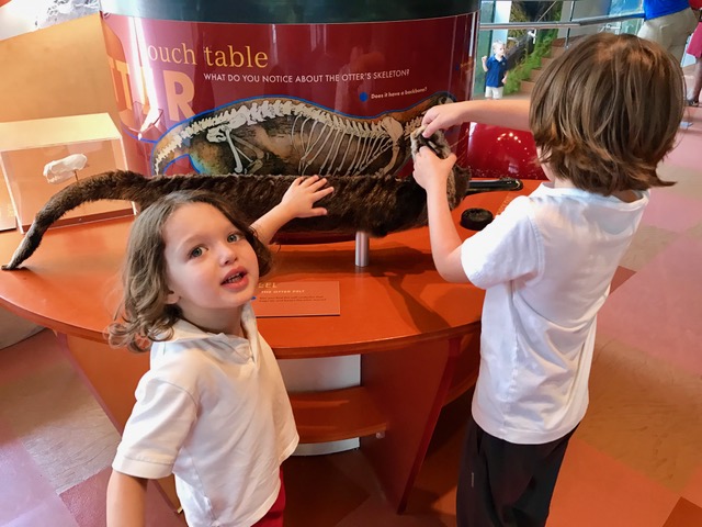 boys playing with dinosaur model 