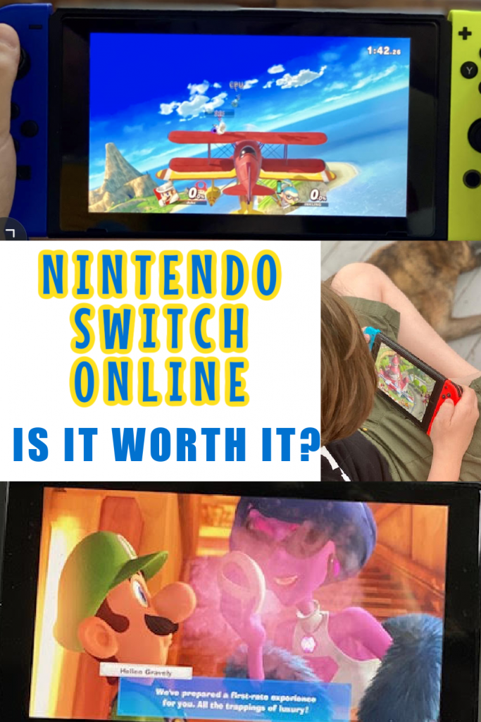 Nintendo Switch online pin